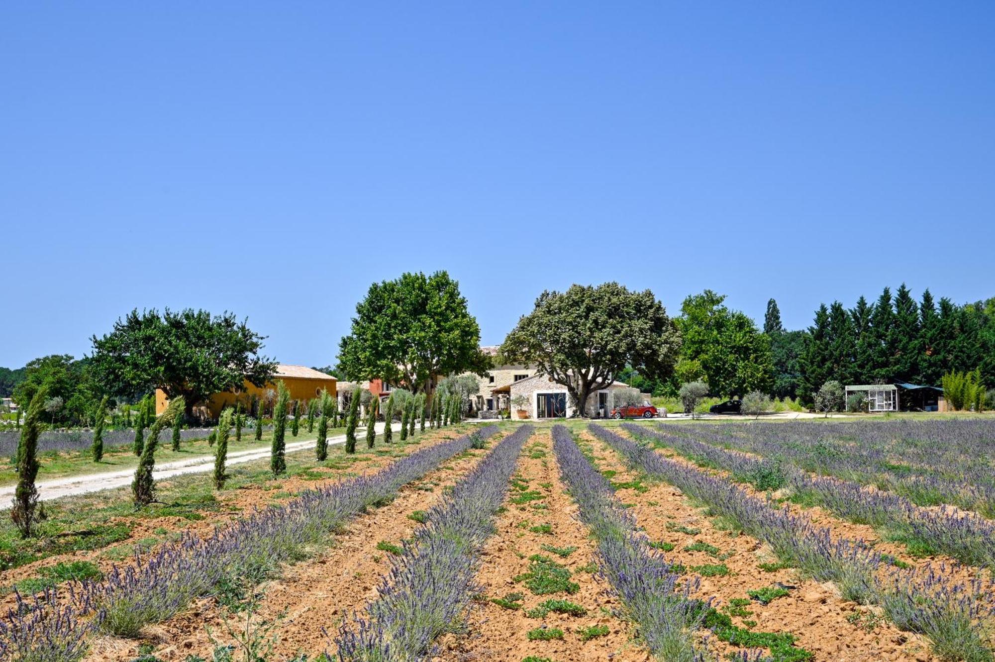Вилла Domaine D'Egenia Русийон Экстерьер фото