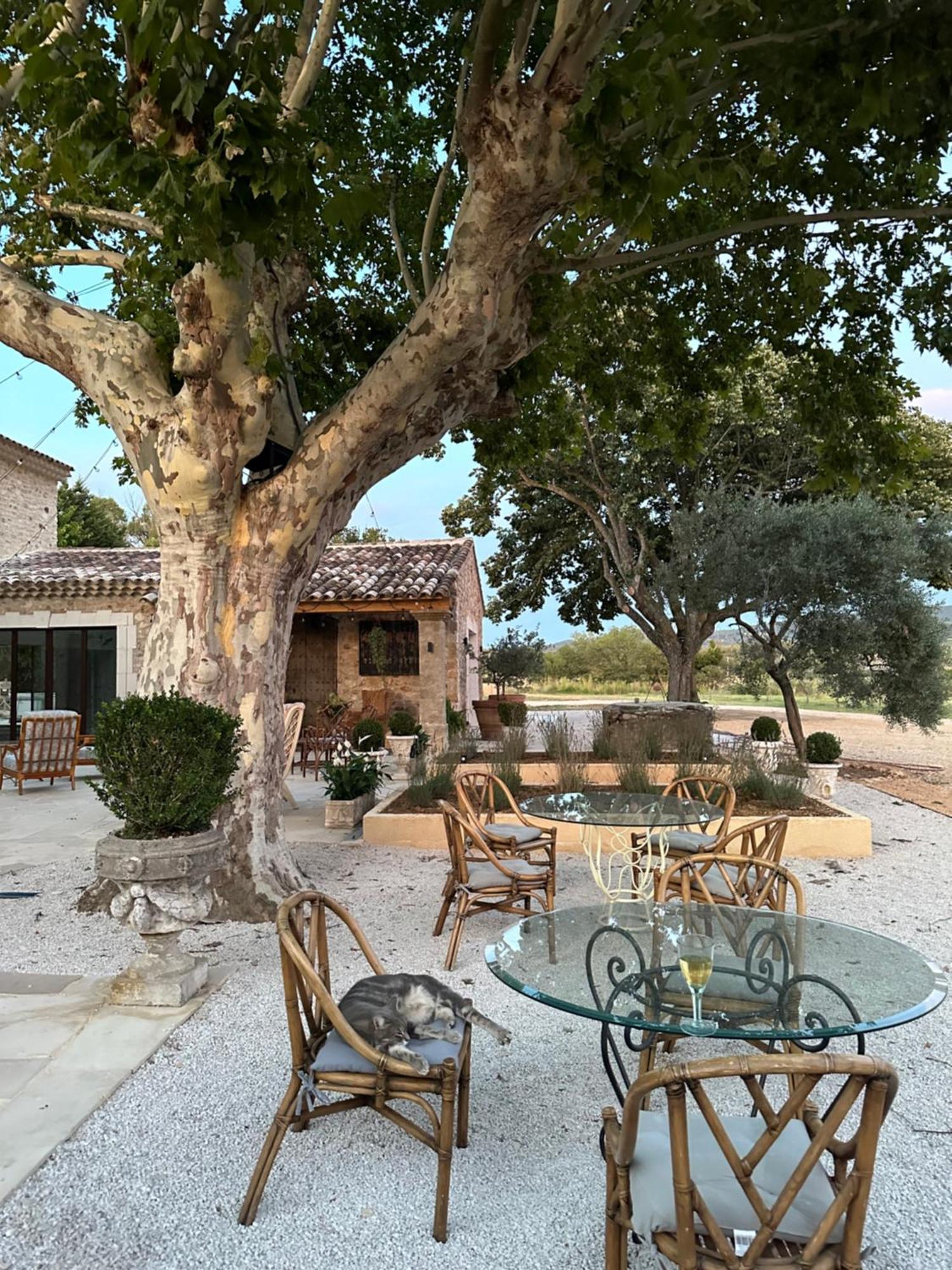 Вилла Domaine D'Egenia Русийон Экстерьер фото